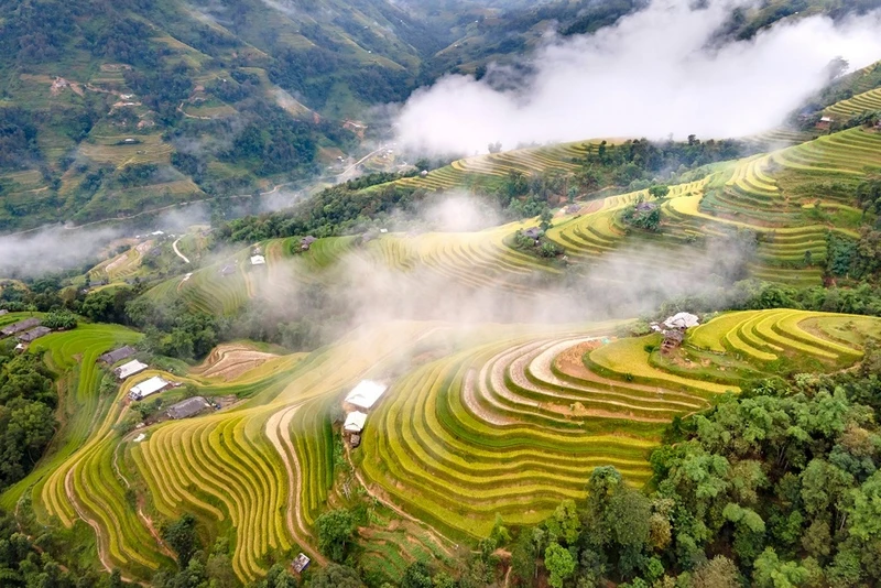 Terraced rice fields in Ha Giang, surrounded by clouds and mountain valleys ha giang backpackers hostel