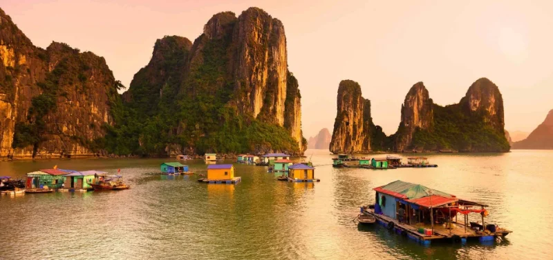 1 day halong bay tour