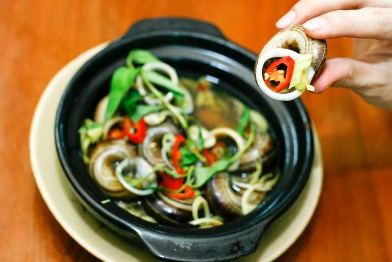 Mountain snails (Ốc núi)