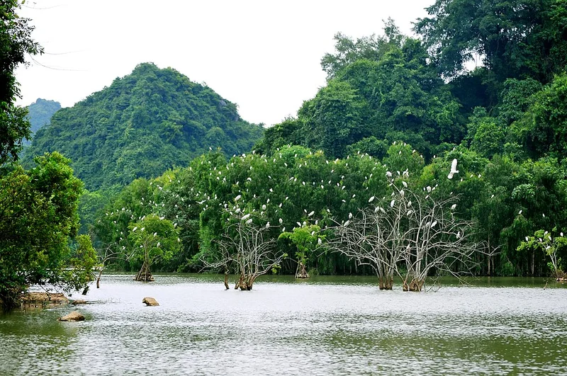Thung Nham Bird Park ninh binh how long to stay