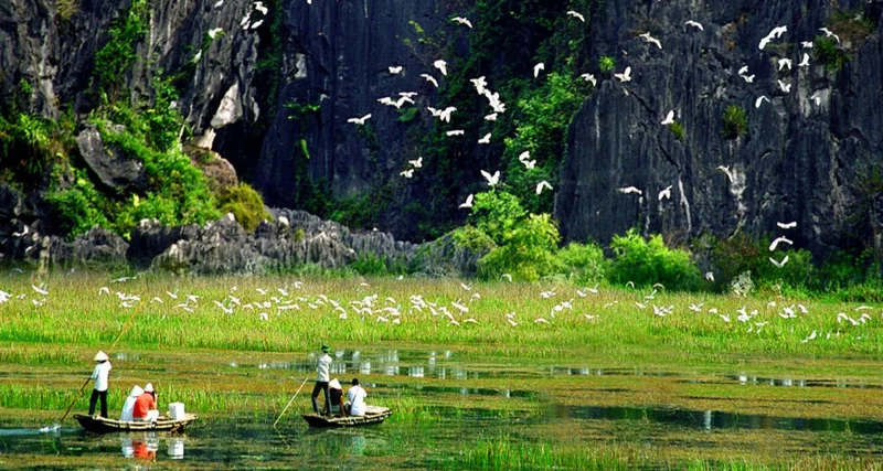 10 Best things to do in Ninh Binh: A complete guide to the best attractions ninh binh to do
