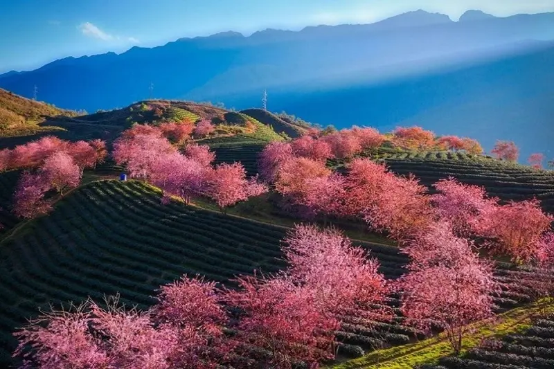 best time to visit sapa