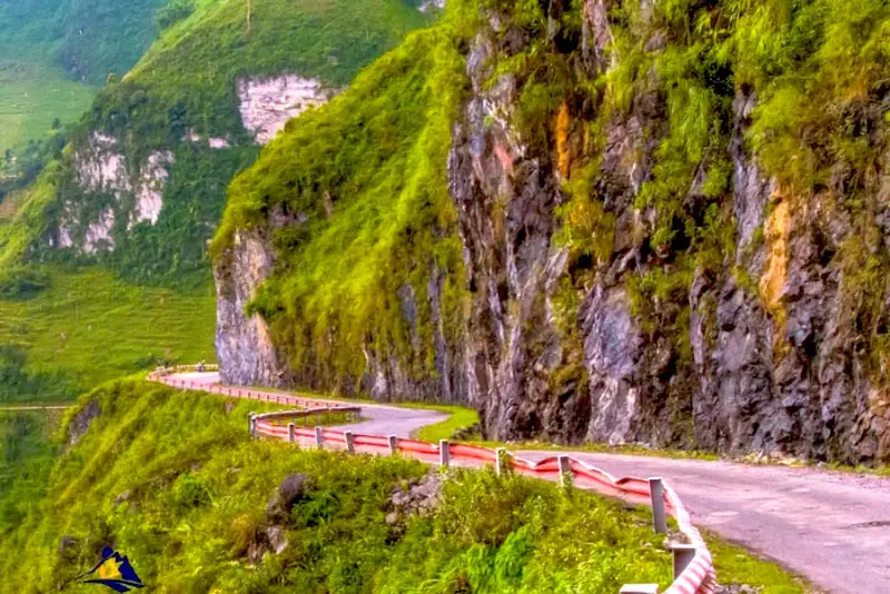 Bright cliffside road along the Ha Giang Loop Bright cliffside road along the Ha Giang Loop