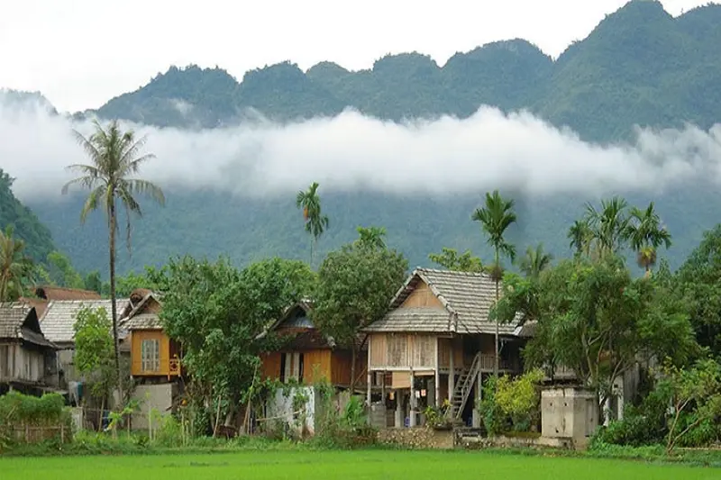 Comfortable limousine seats for Mai Chau route hanoi to mai chau
