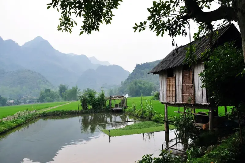 Stilt house overlooking Pom Coong fields mai chau rice terraces