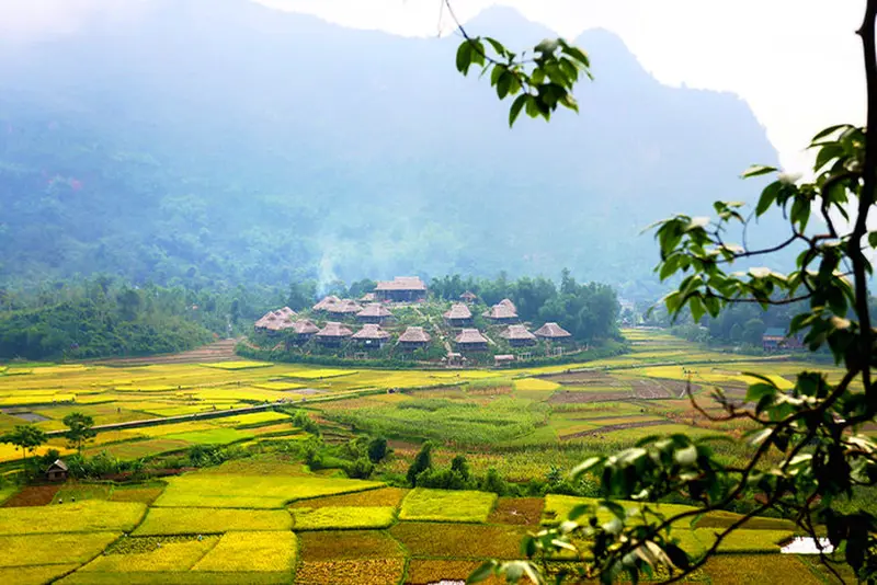 mai chau rice terraces