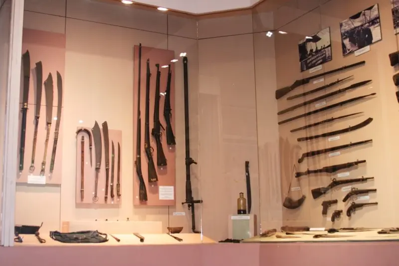 Sunlight filtering through Yen Minh pine trees things to do in ha giang