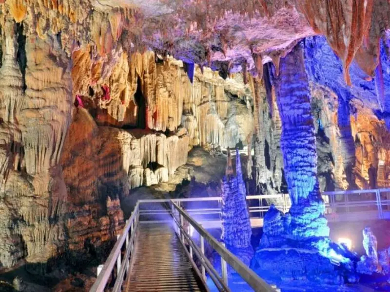 Sunlight filtering through Yen Minh pine trees what to do in ha giang