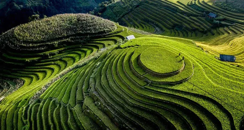Beautiful rice terraces in Mai Chau Valley what to do in mai chau