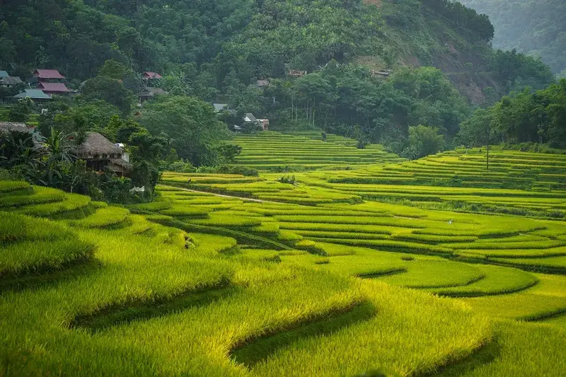 Scenic rice terraces in Pu Luong Nature Reserve mai chau what to do