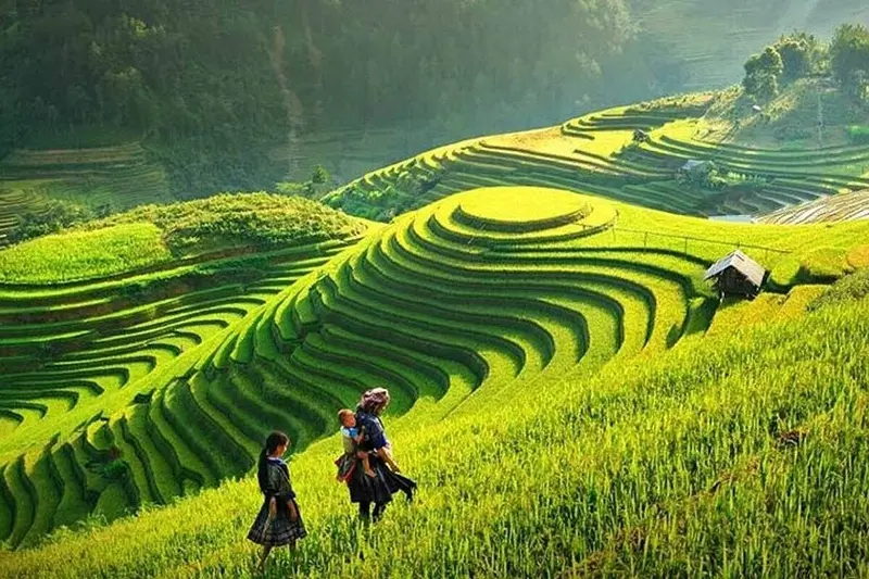 Beautiful Sapa terraces explored at your pace Sapa trekking without a guide