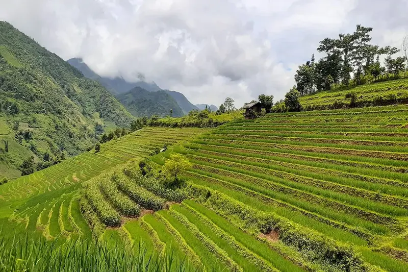 Moderate–hard trekking through quiet Sapa terraces can you trek sapa without a guide