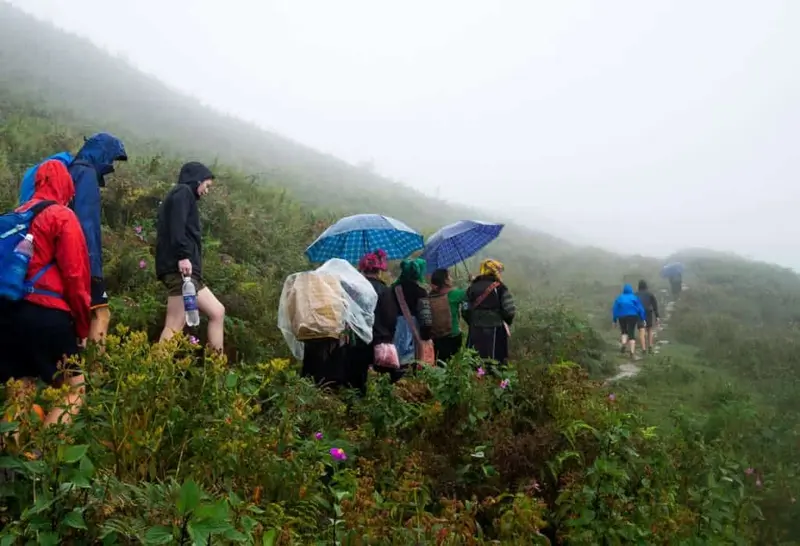 Self-guided trekkers walking through Sapa fog can you trek sapa without a guide