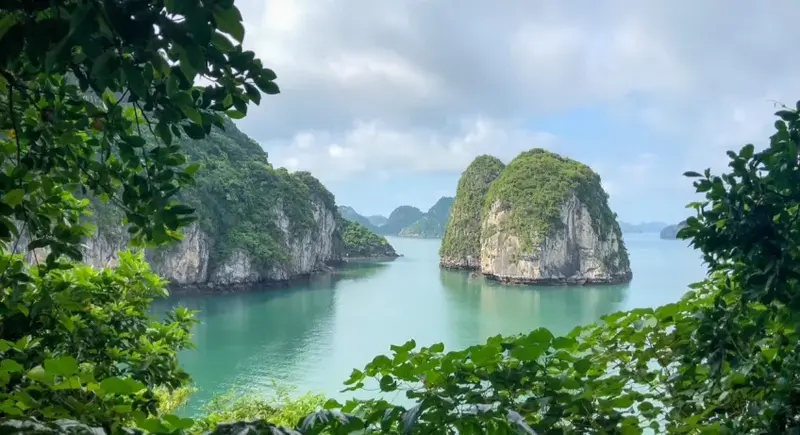 what to do in ha long